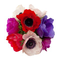 ANEMONE - ASSORTED