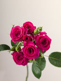SPRAY ROSE - FUSCHIA