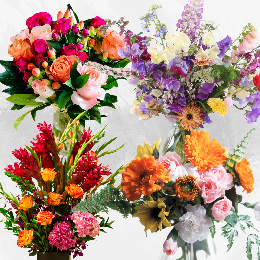 Full Bloom